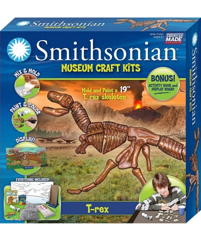 19" Tyrannosaurus Rex Perfect Cast Museum Cast Paint Display and Learn Craft Kit $37.97 Educational Science Kits