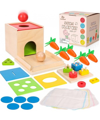 5 in 1 Play Kit Wooden Montessori Toys Object Permanence Box Baby Tissue Box Carrot Harvest Sorting Stacking Coin Box Toddler...