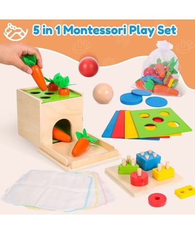 5 in 1 Play Kit Wooden Montessori Toys Object Permanence Box Baby Tissue Box Carrot Harvest Sorting Stacking Coin Box Toddler...