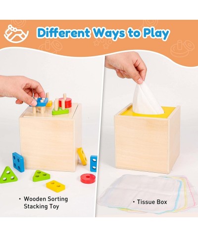 5 in 1 Play Kit Wooden Montessori Toys Object Permanence Box Baby Tissue Box Carrot Harvest Sorting Stacking Coin Box Toddler...