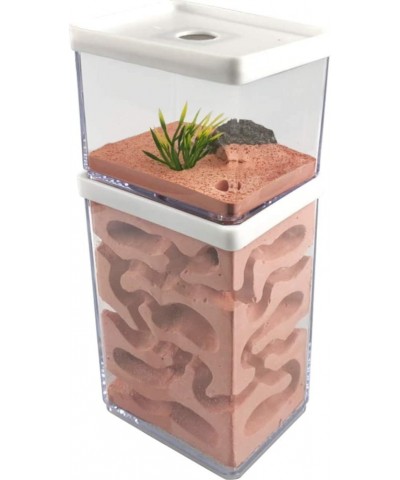 Ant Farm Box Ant Home for Kids Study of Ant Behavior Ant Nest Farm Educational Formicarium for Ant $65.29 Habitat Science Kits