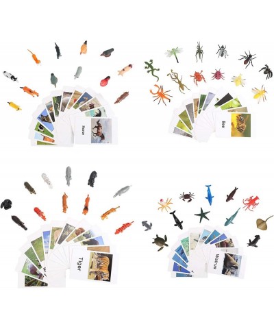 LOGANUSJ 48 PCS Montessori Marine Insects Poultry and Zoo Animals Figure Match 4 Sets - Matching Cards Montessori Language Ma...