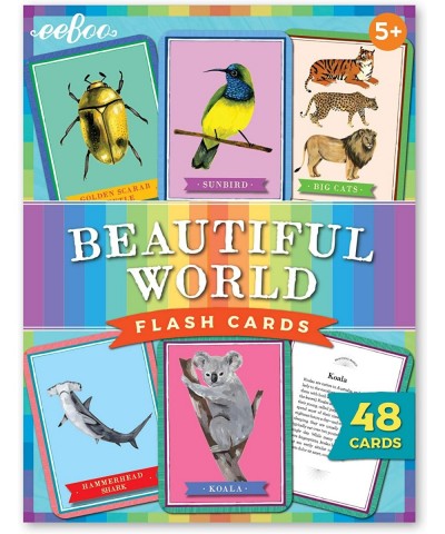 eeBoo: Beautiful World Educational Flash Cards Colorful Animal Graphic and the Reverse Side Provides Information Perfect Way ...