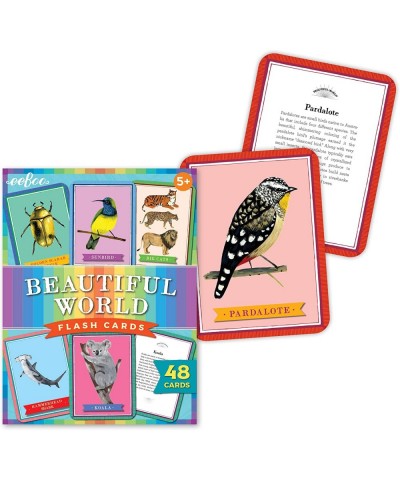 eeBoo: Beautiful World Educational Flash Cards Colorful Animal Graphic and the Reverse Side Provides Information Perfect Way ...