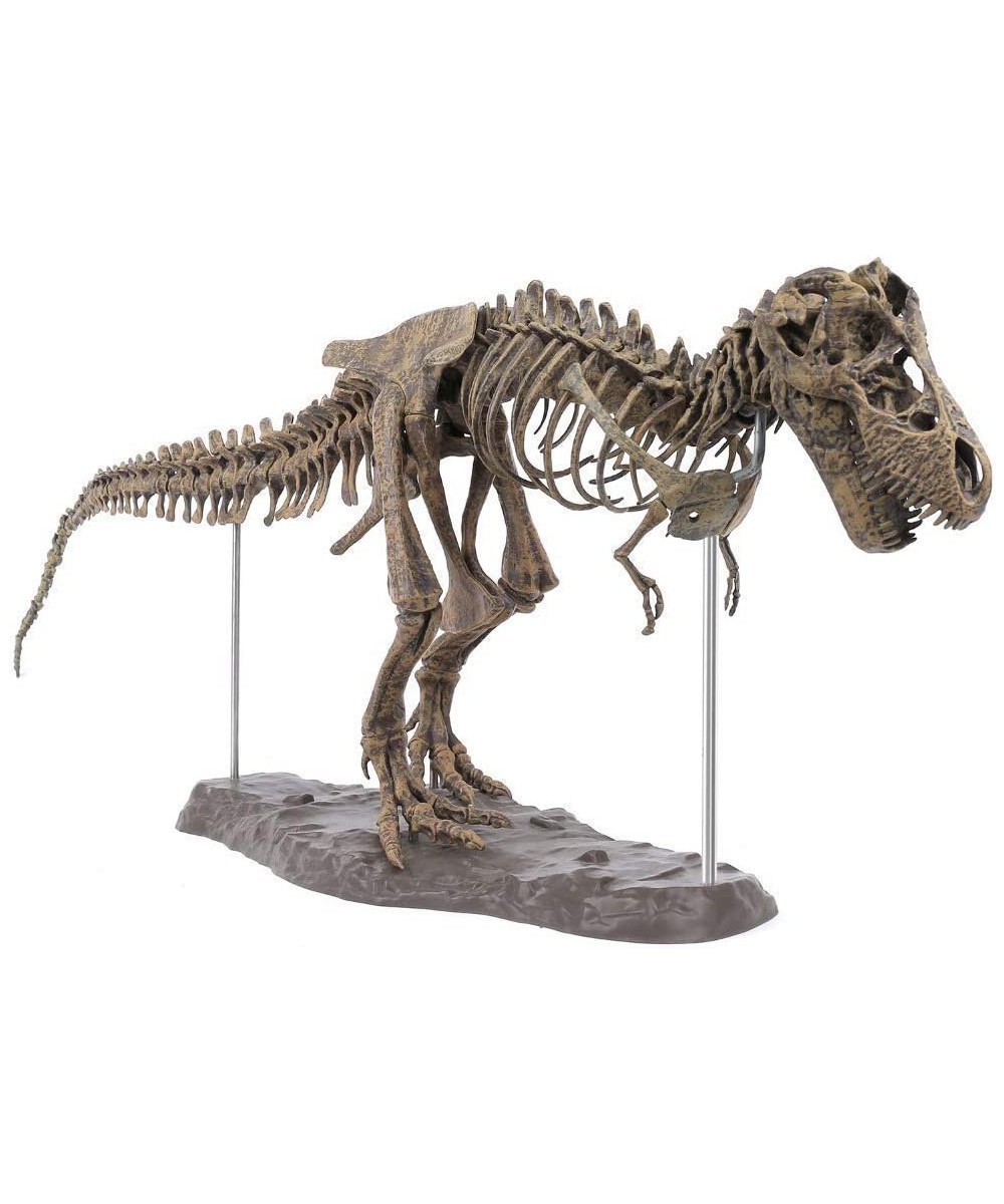 3D T-Rex Dinosaur Skeleton Model Puzzles Simulation Educational Toy Pre-School Teaching Soft Non-Toxic PVC Material Gifts $50...