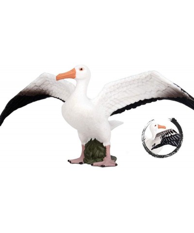 Albatross Figure Realistic Animal Figurines Early Educational Bird Toy Science Project Christmas Birthday Cake Topper for Kid...