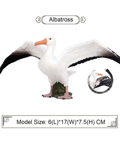 Albatross Figure Realistic Animal Figurines Early Educational Bird Toy Science Project Christmas Birthday Cake Topper for Kid...