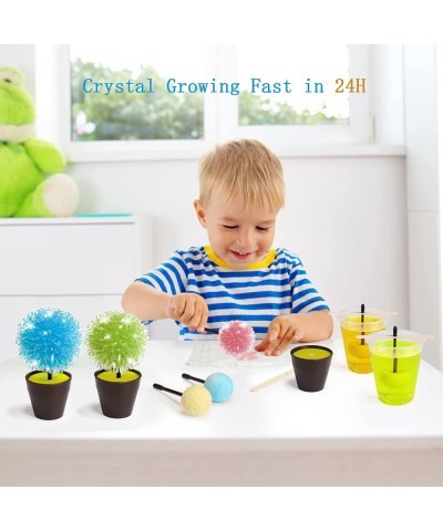 Crystal Growing Kit for Kids Science Kits for Kids Ages 8-12 Grow 4pcs Crystal Science Experiments Toys DIY STEM Projects Lea...