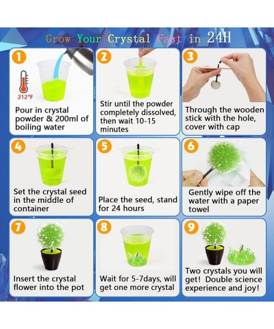 Crystal Growing Kit for Kids Science Kits for Kids Ages 8-12 Grow 4pcs Crystal Science Experiments Toys DIY STEM Projects Lea...