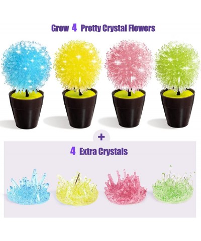 Crystal Growing Kit for Kids Science Kits for Kids Ages 8-12 Grow 4pcs Crystal Science Experiments Toys DIY STEM Projects Lea...