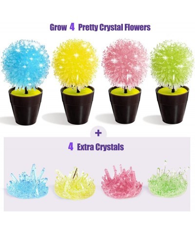 Crystal Growing Kit for Kids Science Kits for Kids Ages 8-12 Grow 4pcs Crystal Science Experiments Toys DIY STEM Projects Lea...