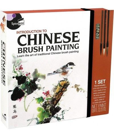 Adult Art Craft & Hobby Kits Introduction to Chinese Brush Painting Multi Colors 06826 $56.56 Craft Kits