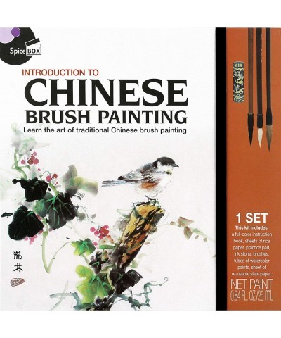 Adult Art Craft & Hobby Kits Introduction to Chinese Brush Painting Multi Colors 06826 $56.56 Craft Kits