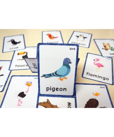 13 Bird Animals Laminated Flash Cards English Flash Cards Educational Learning Picture & Word Card Flashcards Young Children ...