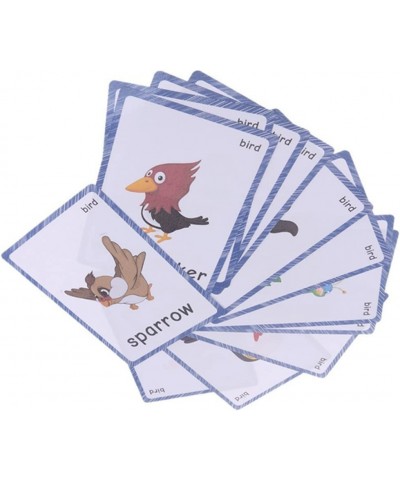 13 Bird Animals Laminated Flash Cards English Flash Cards Educational Learning Picture & Word Card Flashcards Young Children ...