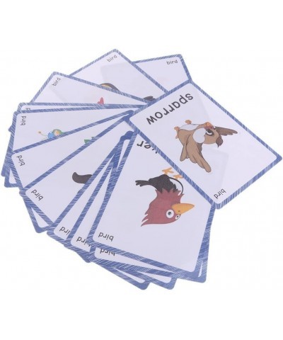 13 Bird Animals Laminated Flash Cards English Flash Cards Educational Learning Picture & Word Card Flashcards Young Children ...