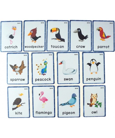 13 Bird Animals Laminated Flash Cards English Flash Cards Educational Learning Picture & Word Card Flashcards Young Children ...