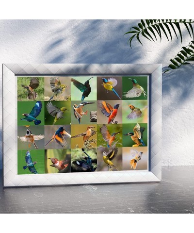 Jigsaw Puzzles 500 Piece Various Birds Jigsaw Puzzles (500 Piece Bird Puzzles) $16.27 Jigsaw Puzzles