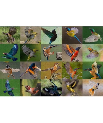 Jigsaw Puzzles 500 Piece Various Birds Jigsaw Puzzles (500 Piece Bird Puzzles) $16.27 Jigsaw Puzzles