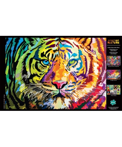 Stripes of Color - 500 Piece Jigsaw Puzzle $19.46 Jigsaw Puzzles