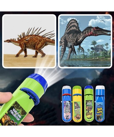 Torch Projector Toy for Kids Flashlight Educational Toy 3 + Years Old TYWJ-01 (Dinosaur and Space) U002 $24.13 Electronic Lea...