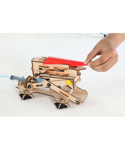 Hydraulic Plane Launcher Wooden Model Engineering STEM Learning Toy for Kids Ages 6 and Up $49.97 Educational Science Kits