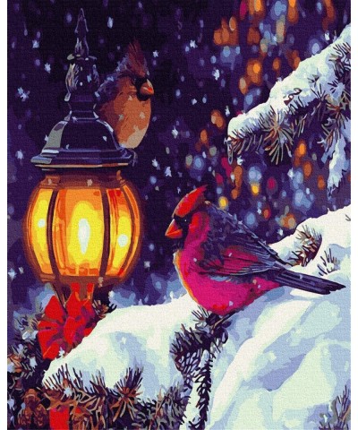 Paint by Numbers DIY Acrylic Paint by Numbers for Adults Beginner Home Wall Decor for Cardinal in Snow Light $19.63 Craft Kits