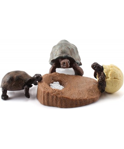 4 PCS Tortoise Wild Animal Model Figures Tortoise Life Cycle Figurines Party Favors Supplies Cake Toppers Decoration Collecti...