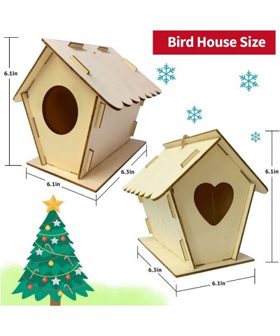 Bird House Kit for Kids Christmas Bird House Sets to Build DIY Wooden Birdhouse for Outdoor Kids Crafts Wood Arts and Crafts ...