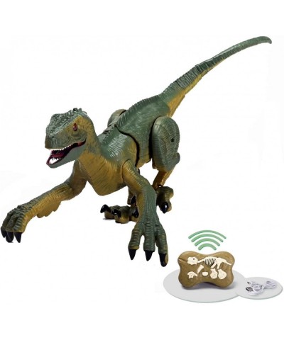 Remote Control Dinosaur Toys Walking and Roaring Simulation Velociraptor Dinosaur Toys for Kids 2.4Ghz RC Dinosaurios Toys Bi...