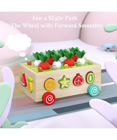 Wooden Montessori Toys for Toddlers Preschool Educational Learning Toys for Boys Girls Carrot Harvest Toys Set Shape Sorter T...