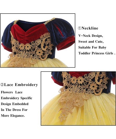 Toddler Girls Princess Dress Halloween Cosplay Dress Up Costume with Accessories $42.49 Kids' Costumes