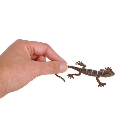 5.5" Plastic Lizards - (24) per Pack - Assorted Colors and Designs - Animal Theme Parties - Toy Lizards for Kids - Bath Time ...