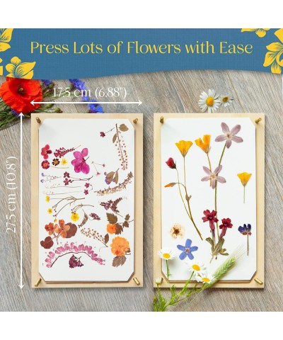 Berstuk® Large Flower Press Kit for Adults • The Flower Preservation Kit Measures 10.8" x 6.9" • Our Plant Press & Leaf Press...