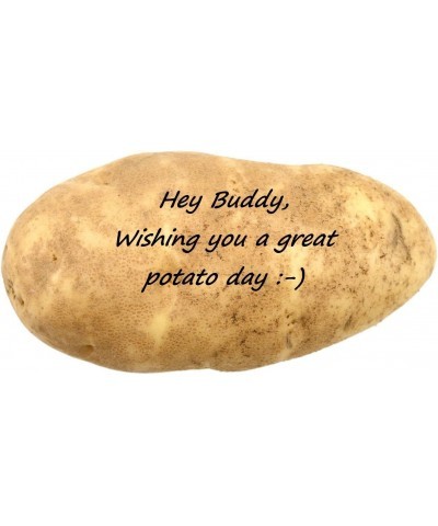 Mail a Message on a Real Potato Funny Gag Novelty Joke $17.12 Gags & Practical Joke Toys