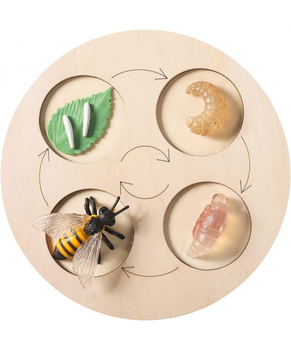 4PC Insect Figurines Life Cycle of Rooster Ant Bee Butterfly Ladybug with Wooden Board |Plastic Bugs for Safariology Animal F...