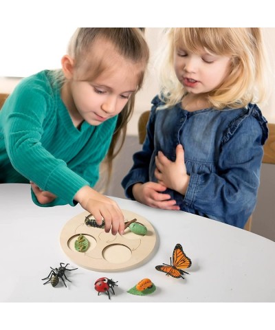 4PC Insect Figurines Life Cycle of Rooster Ant Bee Butterfly Ladybug with Wooden Board |Plastic Bugs for Safariology Animal F...