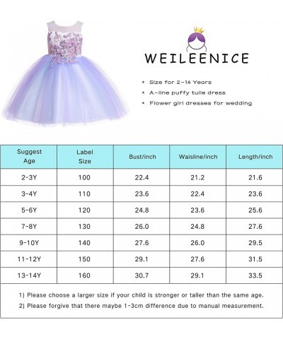 Christmas Girls Flower Dress Lace Rainbow Tulle 3D Embroidery Beading Princess Pageant Wedding Party Dresses $58.42 Kids' Cos...