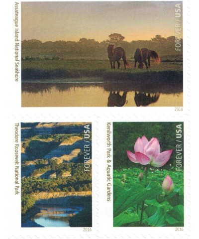 National Parks Forever Stamps Sheet of 16 Postage Stamps 2016 $55.33 Collectibles Display & Storage