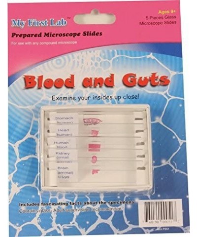 Microscope Prepared Slide Set - Blood & Guts (5 Slides) $35.06 Children's Optics