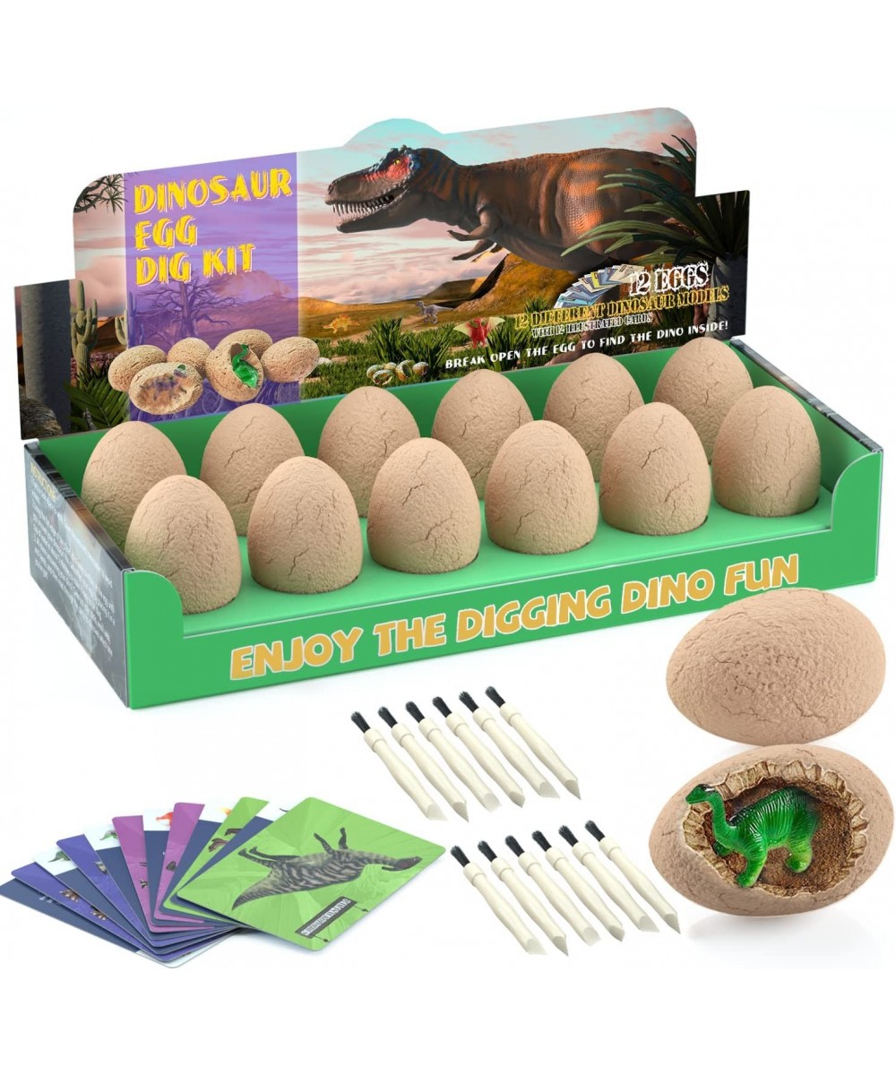 Dinosaur Eggs Excavation Dig Kit - Dinosaur Toys for Kids - Break Open 12 Dinosaur Eggs and Discover 12 Cute Dinosaurs - Arch...