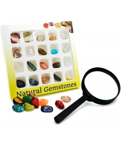 Gemstone Rock Collection Kit for Kids Geology Science Learning with Magnifier Reading Glass (Pack of 20pcs) $18.56 Educationa...