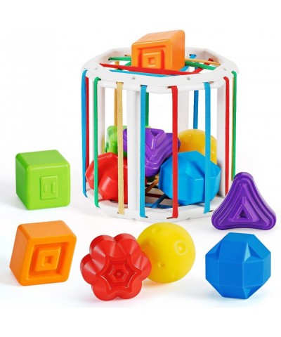 Sensory 2 in 1 Shape Sorting & Rattle Toys -Baby Gift Idea $26.17 Early Development & Activity Toys