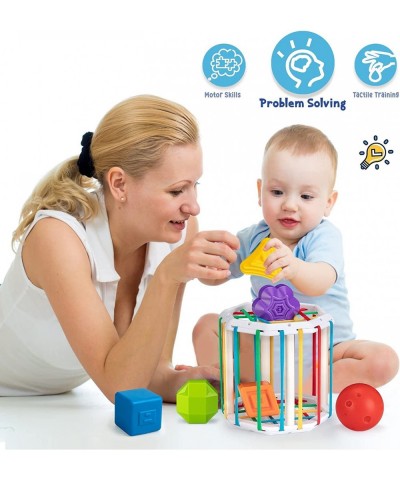 Sensory 2 in 1 Shape Sorting & Rattle Toys -Baby Gift Idea $26.17 Early Development & Activity Toys