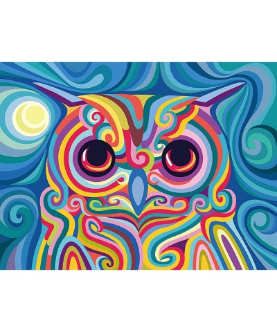 Paint by Numbers for Kids Ages 8-12 DIY Neon Owl Paint by Number on Rolled Canvas Colorful Paintworks Animals Artwork for Hom...