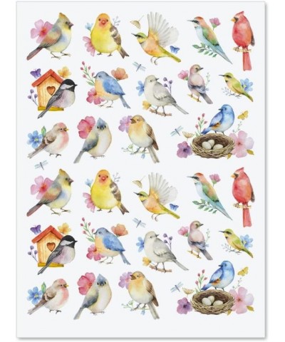 Watercolor Birds Stickers - Set of 52 Stickers Two 8-1/2" x 11" Sheets Holiday Arts and Crafts Fun for Kids Spring Themed Gif...