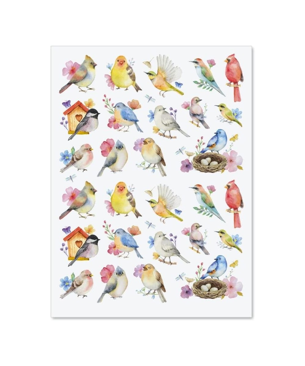 Watercolor Birds Stickers - Set of 52 Stickers Two 8-1/2" x 11" Sheets Holiday Arts and Crafts Fun for Kids Spring Themed Gif...