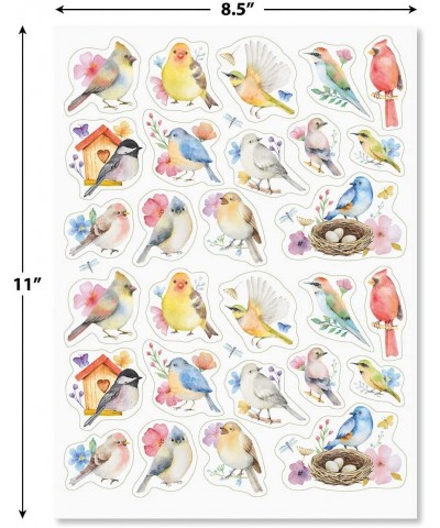 Watercolor Birds Stickers - Set of 52 Stickers Two 8-1/2" x 11" Sheets Holiday Arts and Crafts Fun for Kids Spring Themed Gif...