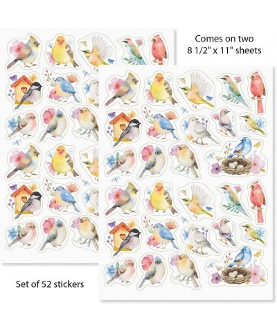 Watercolor Birds Stickers - Set of 52 Stickers Two 8-1/2" x 11" Sheets Holiday Arts and Crafts Fun for Kids Spring Themed Gif...