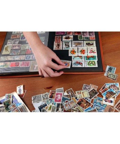 World Stamp Collectors Kit ♥ 24 Stamps from All Over The World + Magnifying Lens Bundle for Stamps Collector Edition $32.43 C...